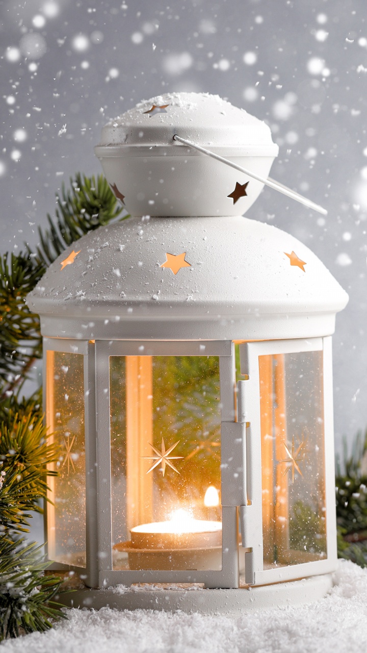 Обои снег, зима, замораживание, мороз, дерево в разрешении 720x1280