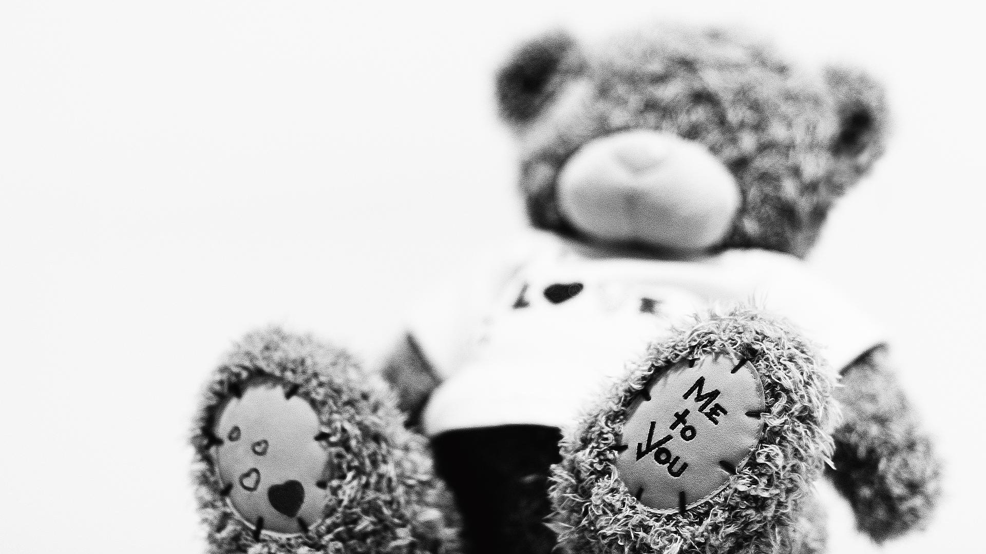 Обои мягкая игрушка, плюшевый мишка, белые, черный, черный и белый в разрешении 1920x1080