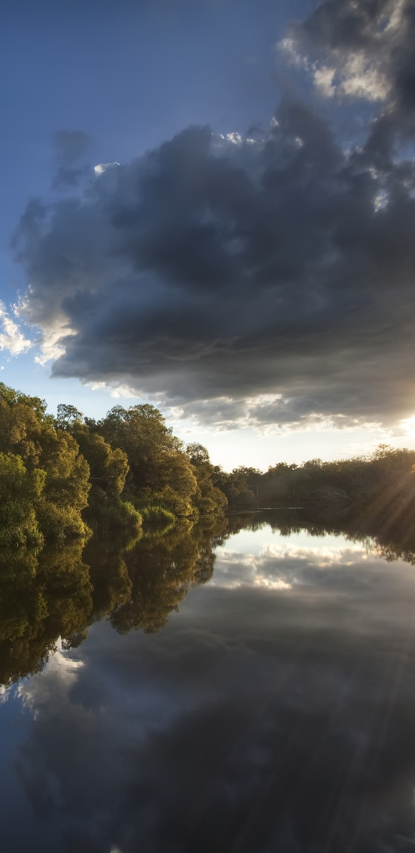 Обои природа, вода, отражение, облако, реки в разрешении 1440x2960