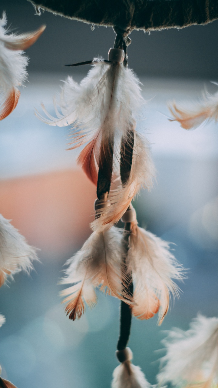 Обои Ловец снов, Коренных американцев флейта, крыло, хвост, модный аксессуар в разрешении 720x1280