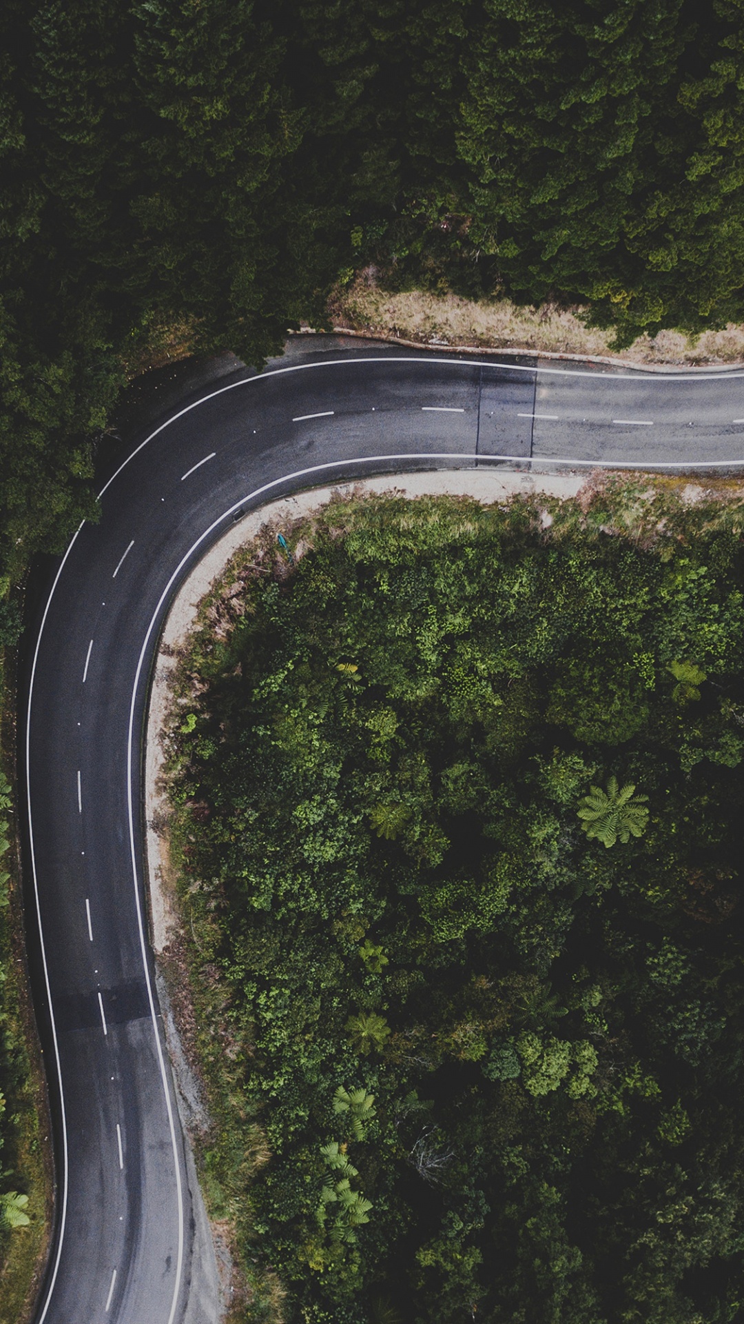 Обои дорога, ios, растение, автомобильные шины, дорожное покрытие в разрешении 1080x1920