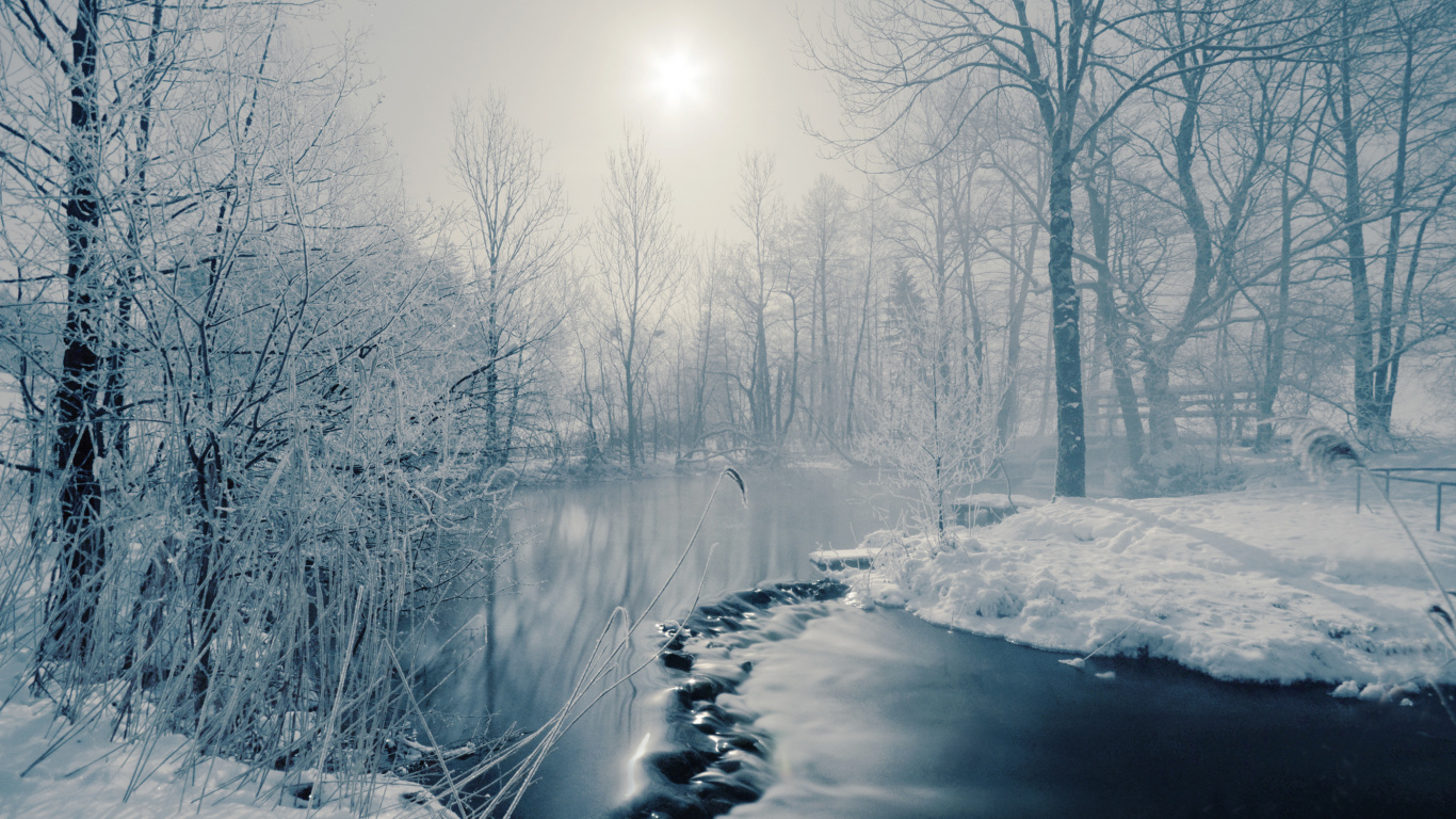 Обои зима, снег, природа, вода, дерево в разрешении 1366x768