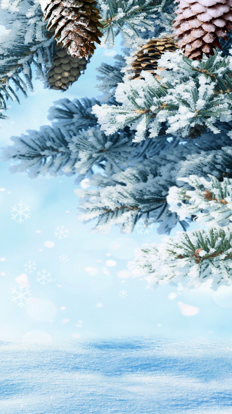 Обои снег, зима, дерево, ветвь, пихта в разрешении 750x1334