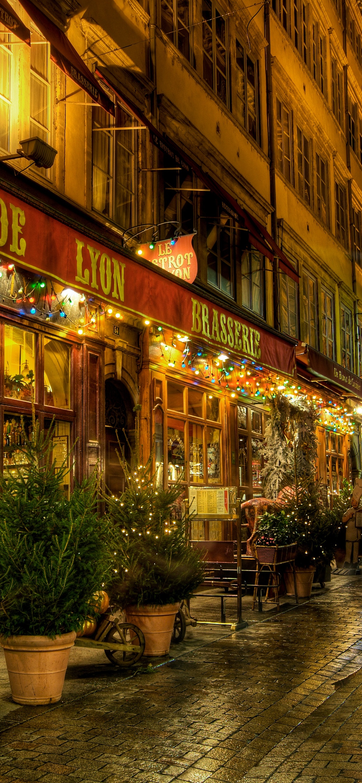 Обои ночь, улица, городок, город, деловой район в разрешении 1242x2688