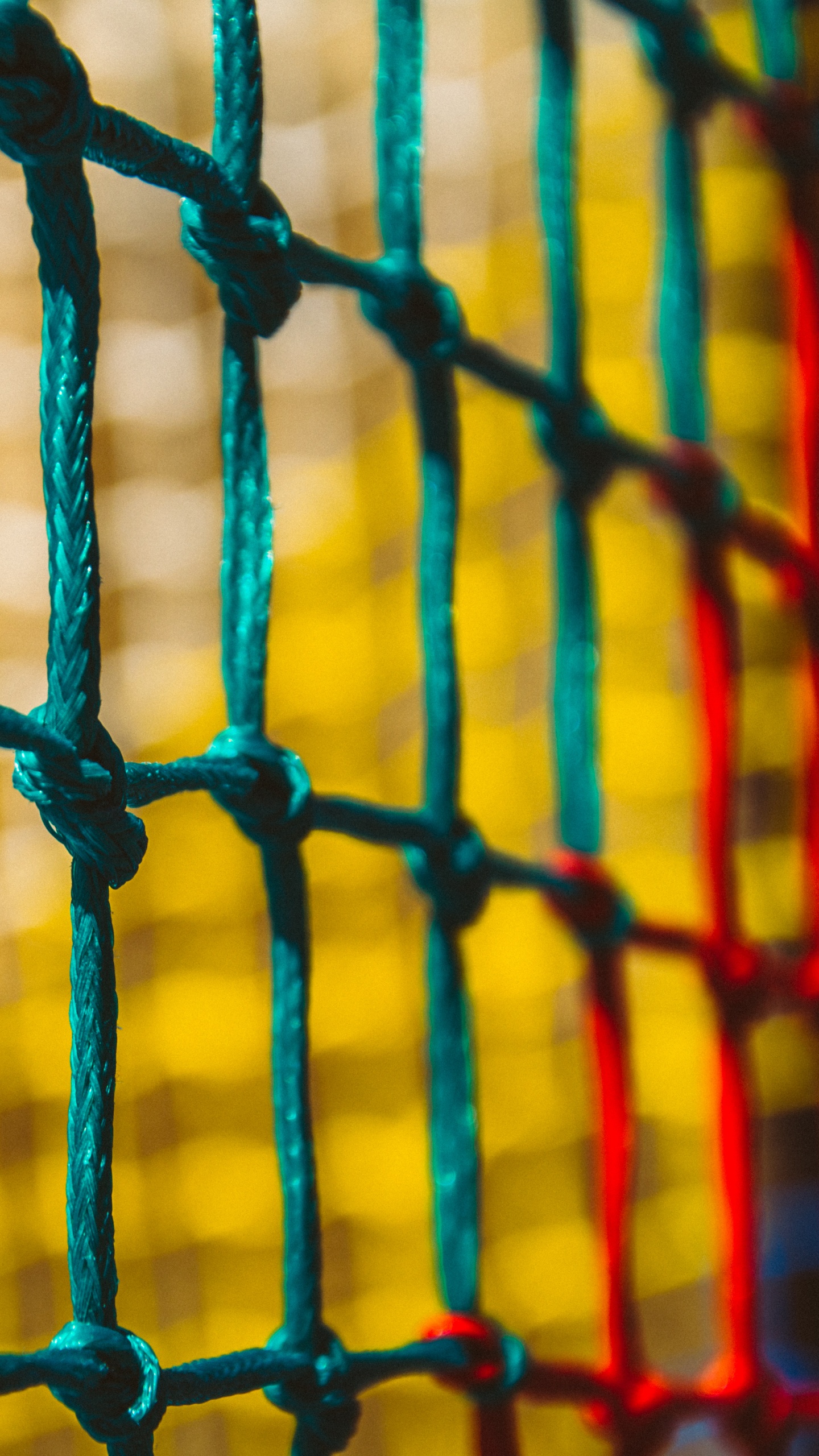 Обои желтый, линия, узор, Апельсин, синий в разрешении 1440x2560