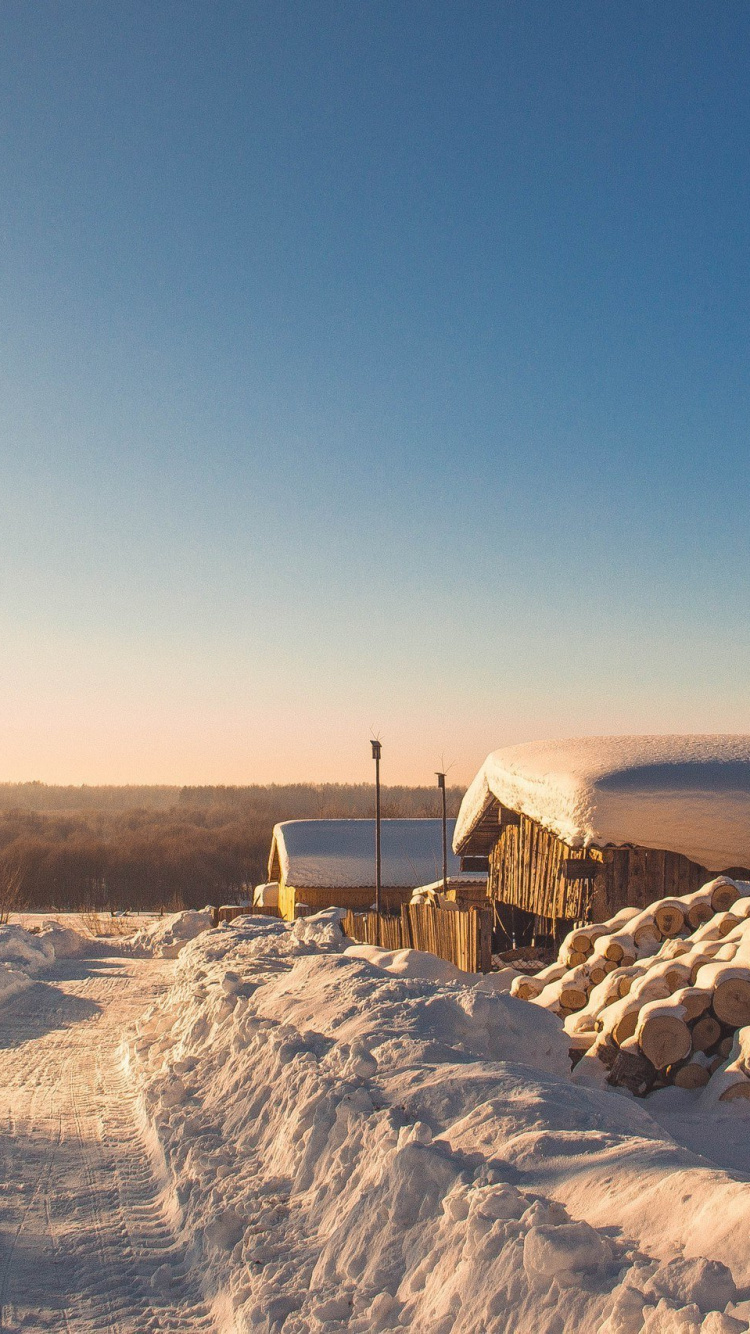 Обои пейзажная живопись, снег, зима, замораживание, экорегион в разрешении 750x1334