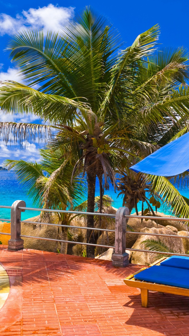 Обои лето, отпуск, тропическая зона, Карибский бассейн, свойство в разрешении 720x1280