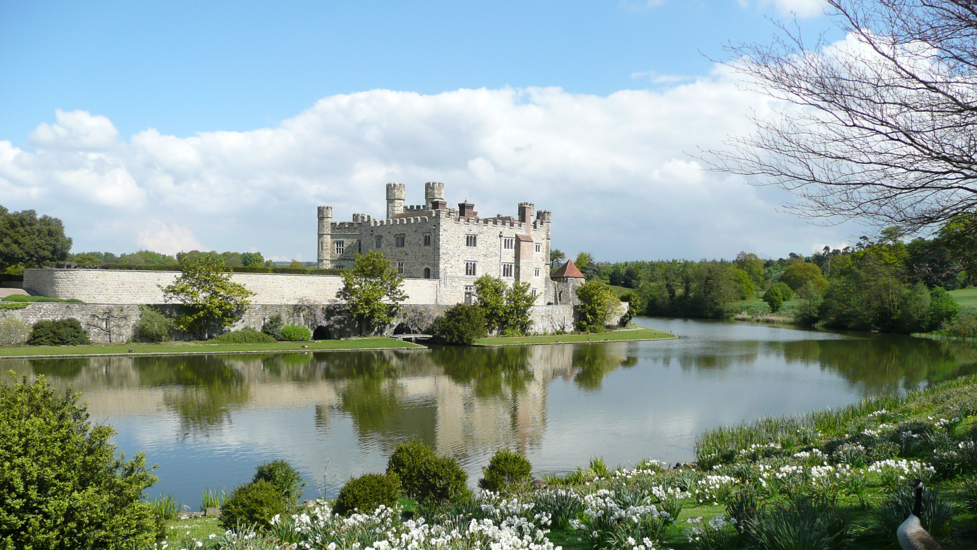 Обои замок, ров, Лидс, Банк, дерево в разрешении 1920x1080