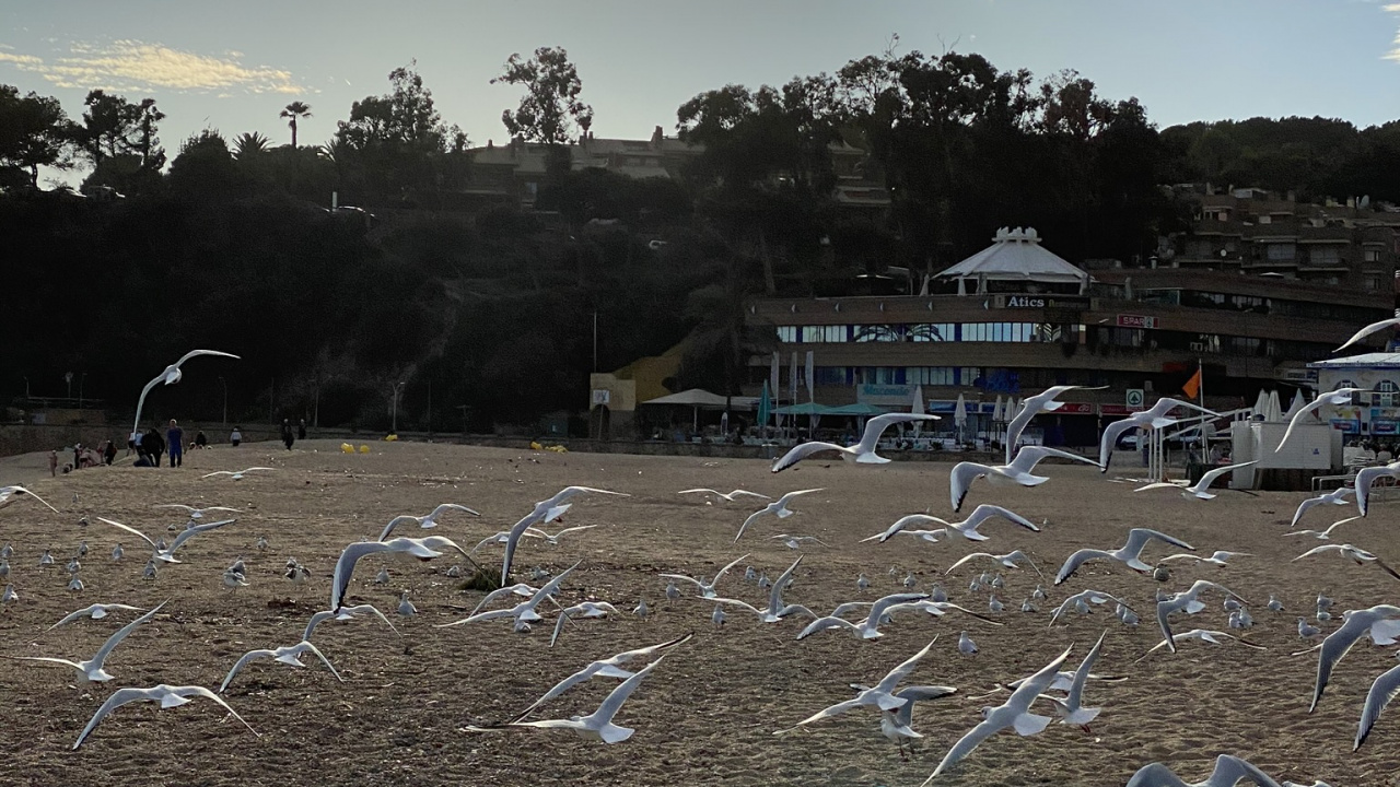 Обои вода, биология, наука, облако, почва в разрешении 1280x720