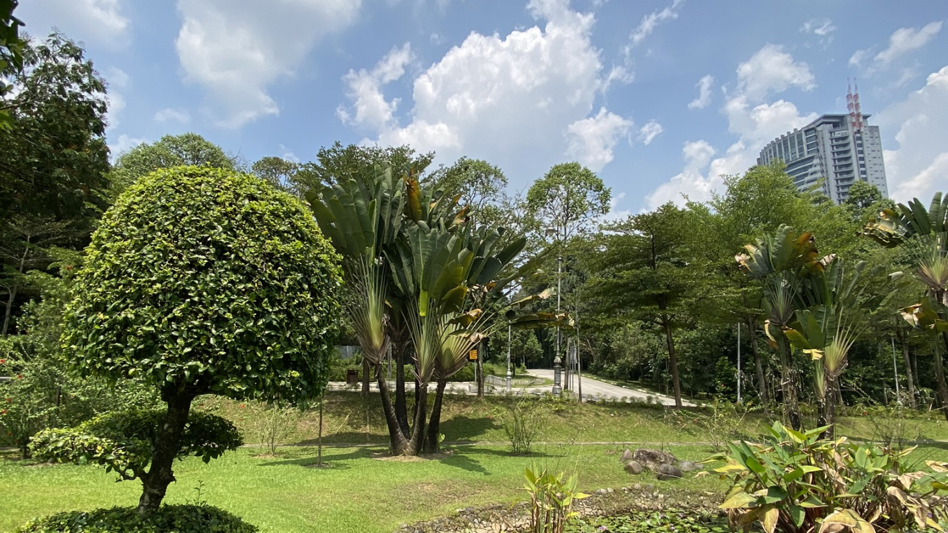 Обои растительность, Ботанический сад, растительное сообщество, растение, облако в разрешении 1366x768