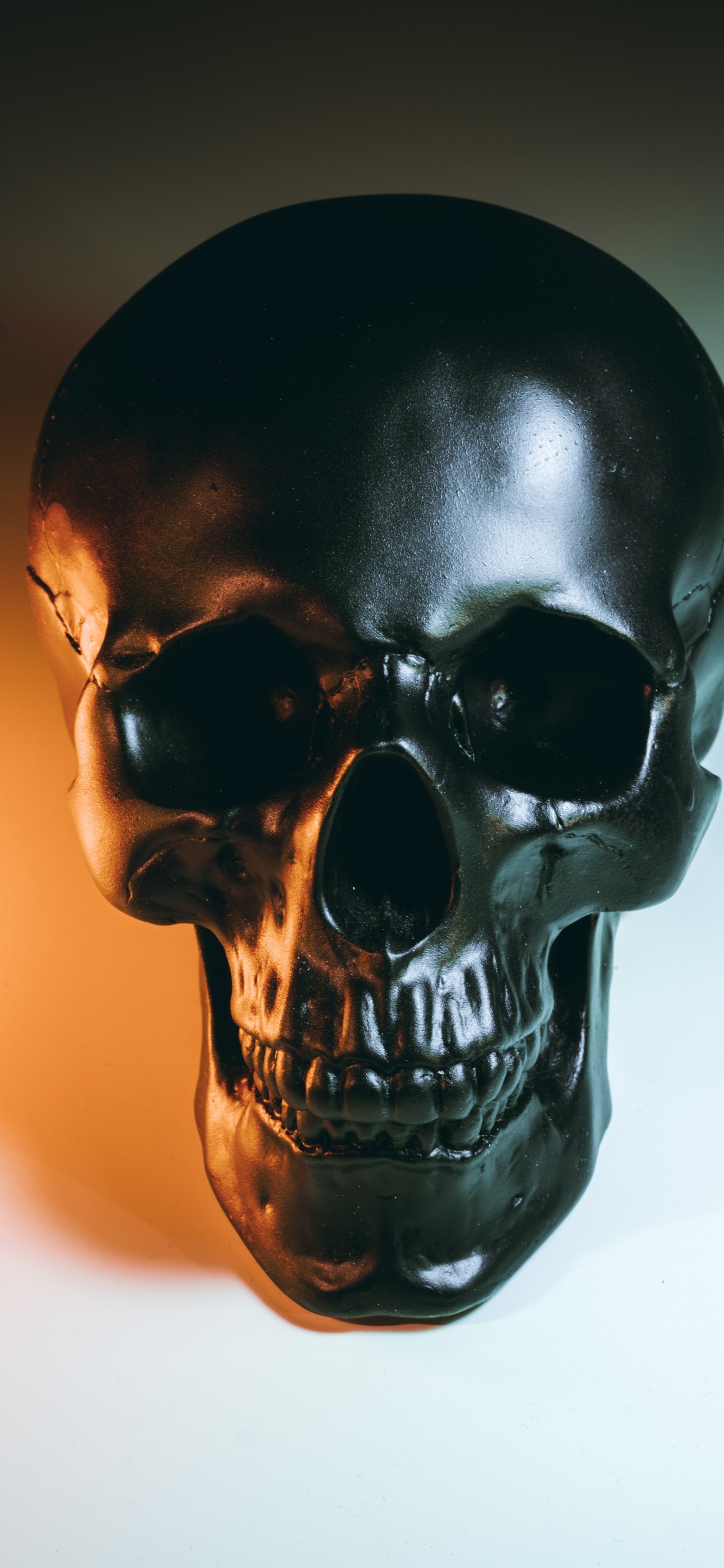 Обои скелет, черный череп, анатомия, кость, пасть в разрешении 1125x2436