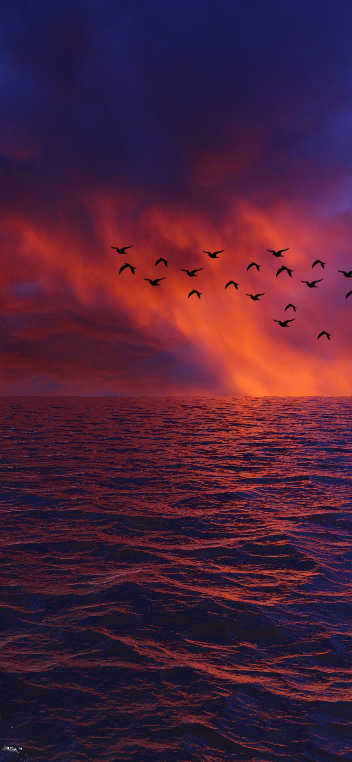 Обои горизонт, море, вода, океан, синий в разрешении 1125x2436