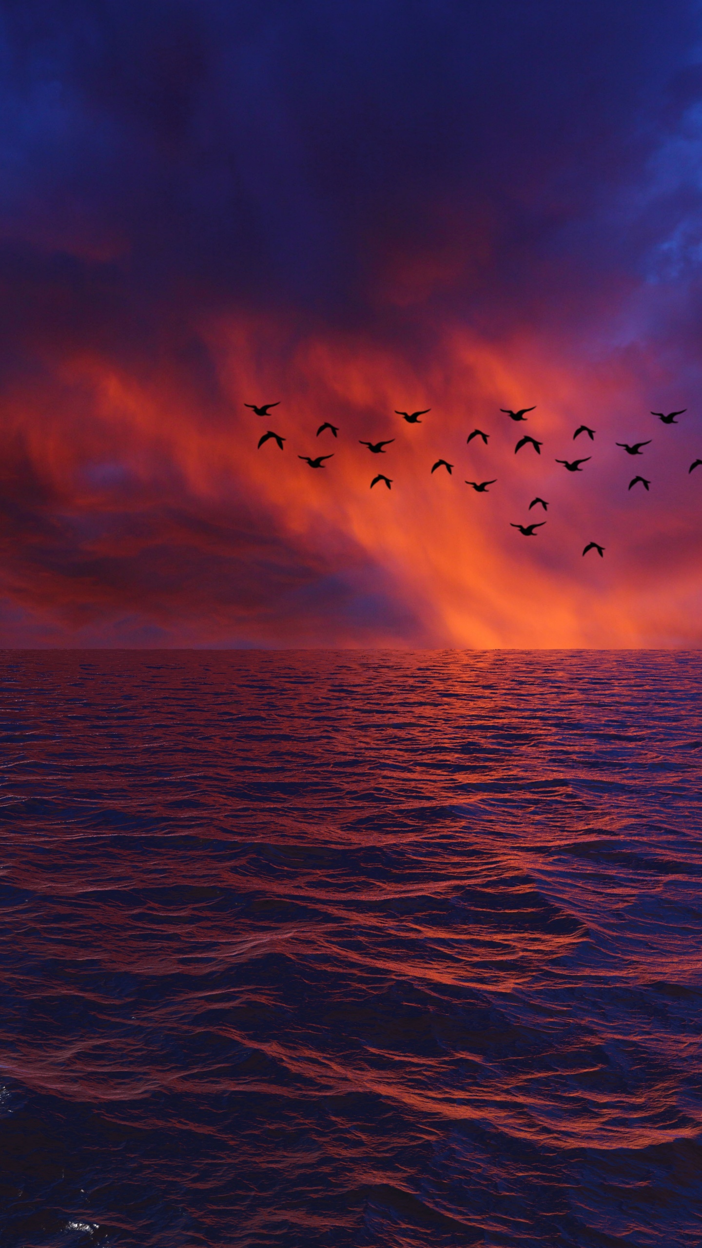 Обои горизонт, море, вода, океан, синий в разрешении 1440x2560