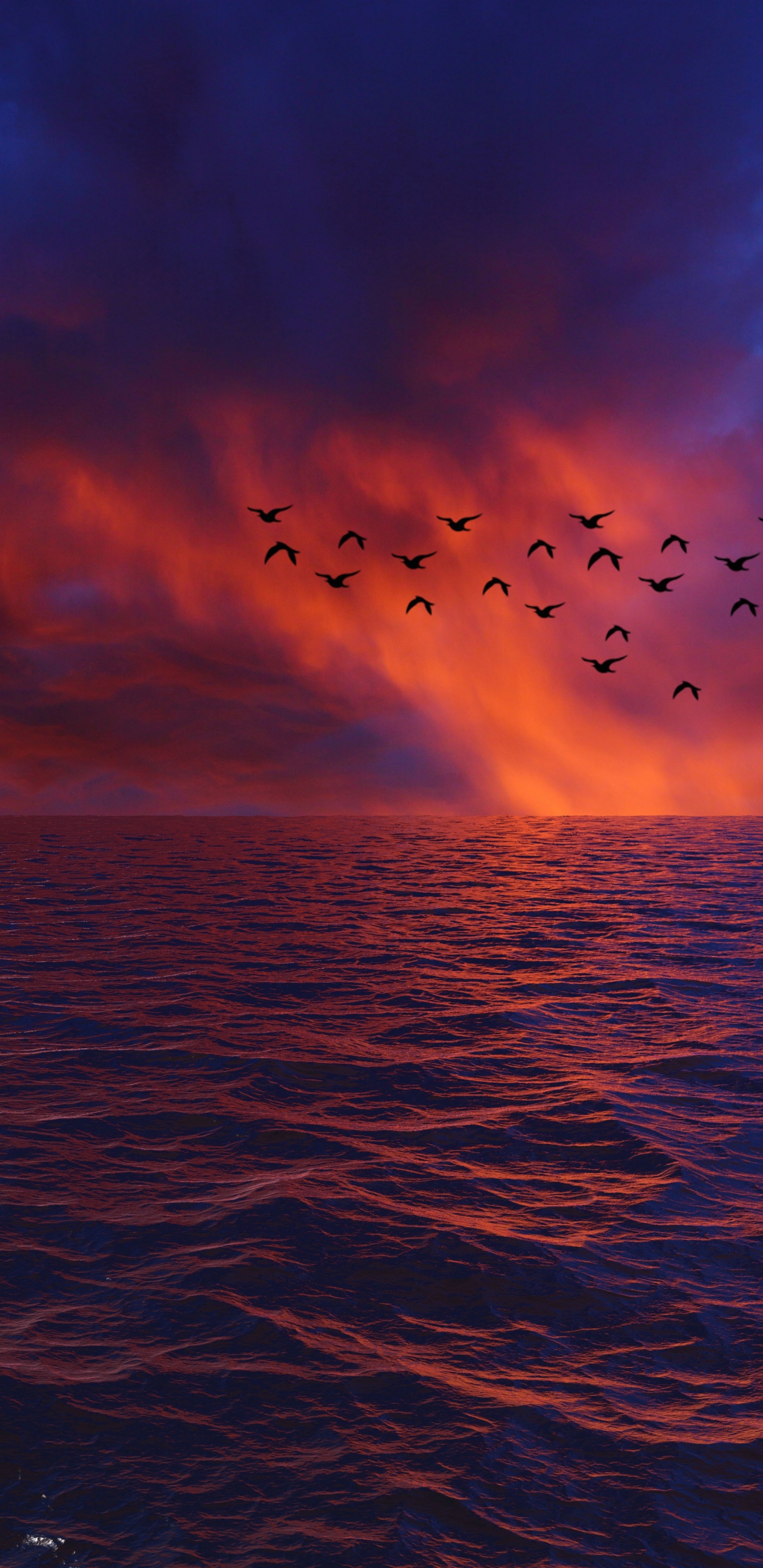 Обои горизонт, море, вода, океан, синий в разрешении 1440x2960