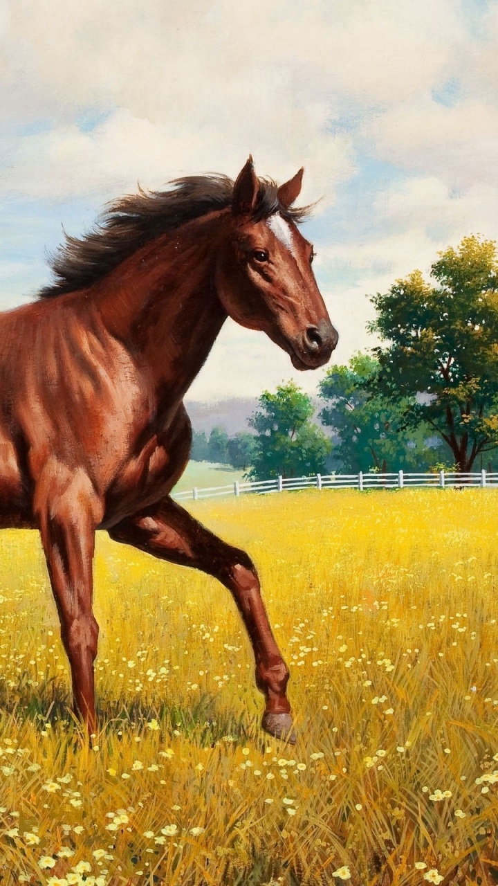 Обои жеребенок, Мустанг, жеребец, кобыла, грива в разрешении 720x1280