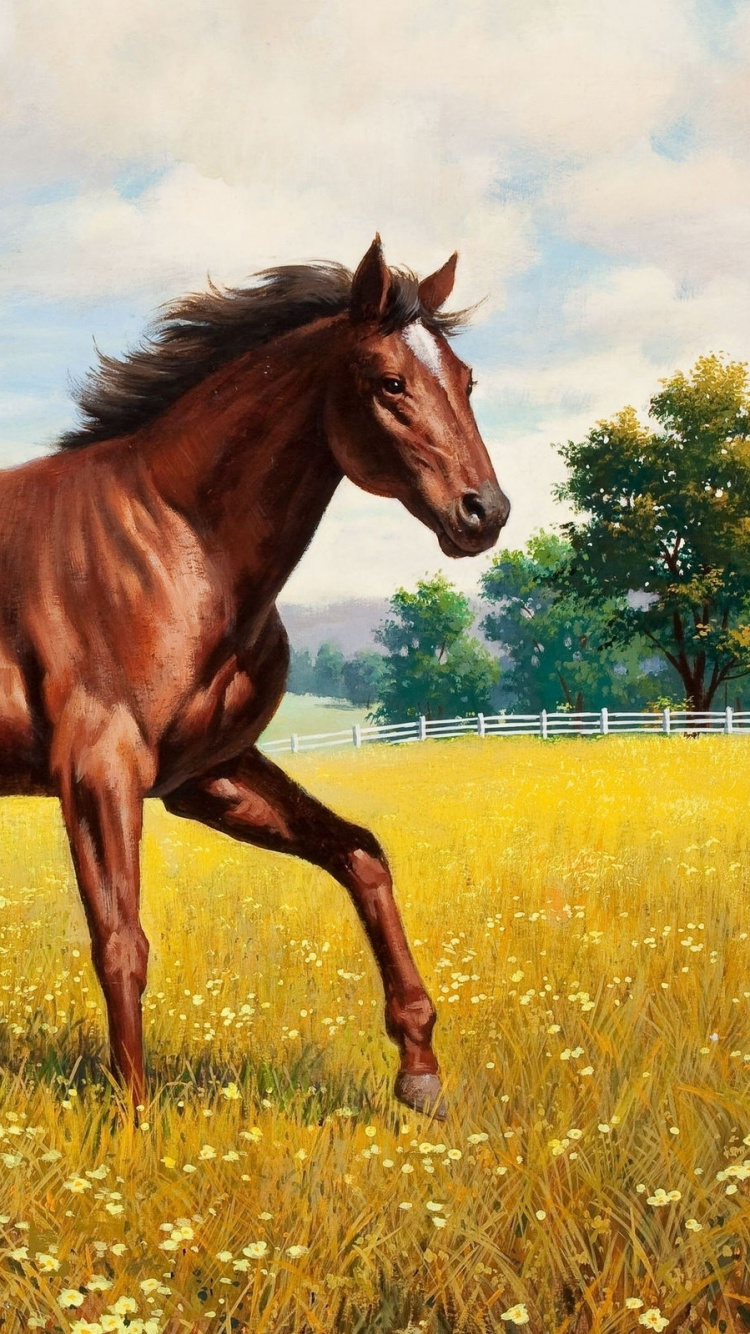 Обои жеребенок, Мустанг, жеребец, кобыла, грива в разрешении 750x1334