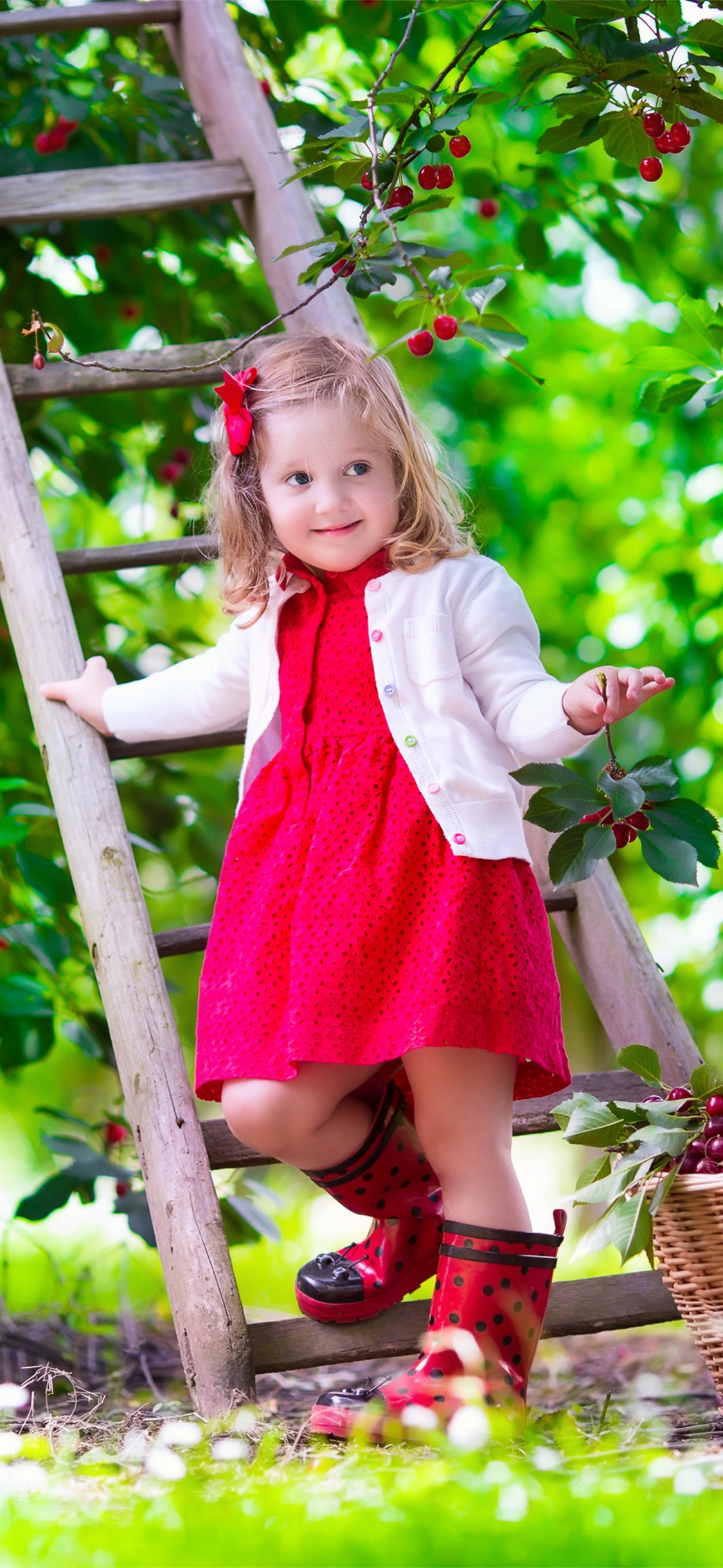 Обои ребенок, дерево, трава, завод, одежда в разрешении 1125x2436