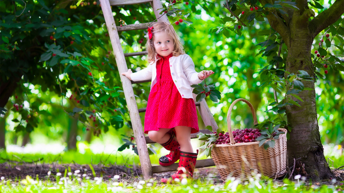 Обои ребенок, дерево, трава, завод, одежда в разрешении 1366x768