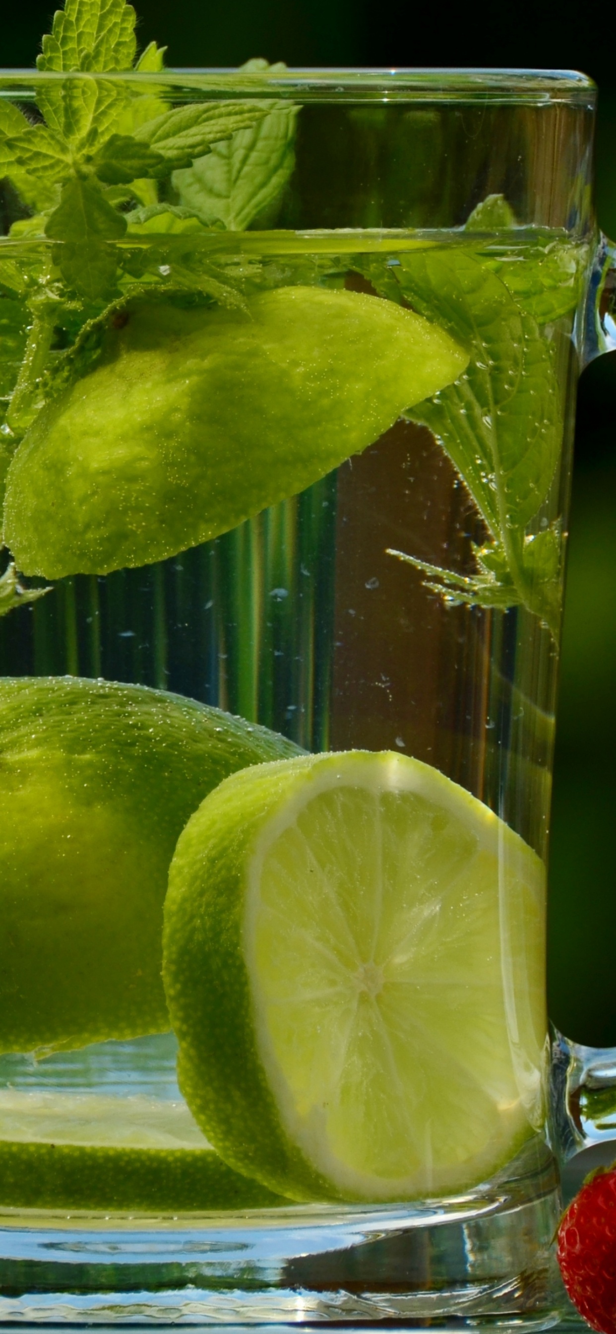 Обои мохито, лимон, известь, вода, напиток в разрешении 1242x2688