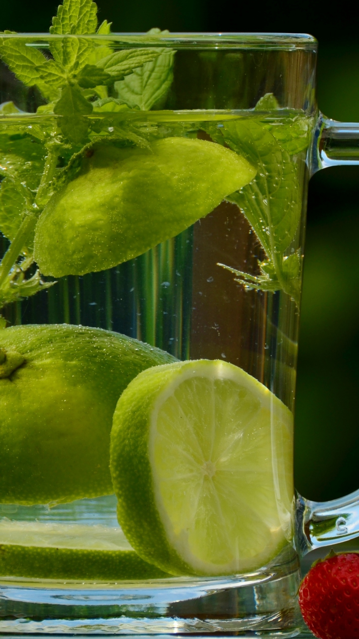 Обои мохито, лимон, известь, вода, напиток в разрешении 1440x2560