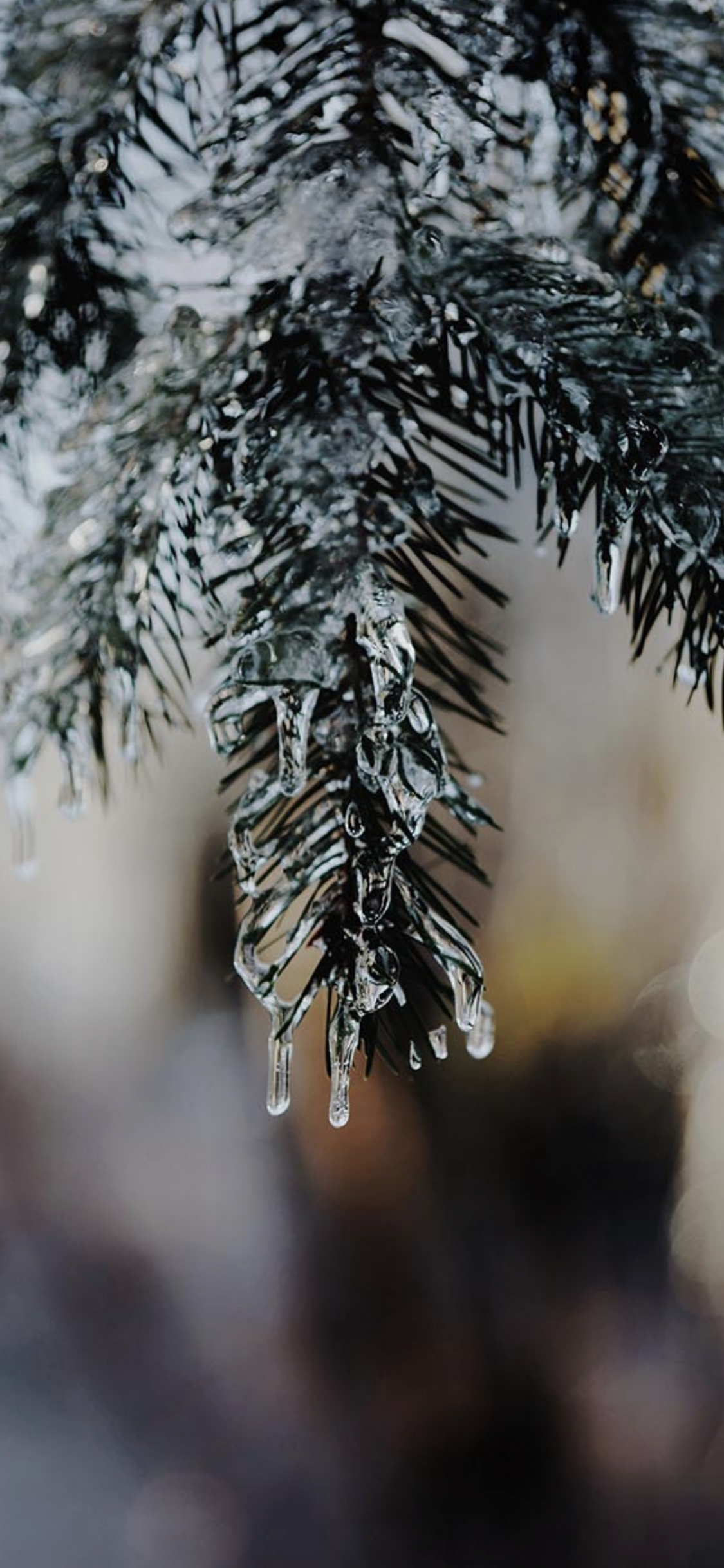 Обои рождественская капельница, Рождественский день, зимний пейзаж, елка, растение в разрешении 1125x2436