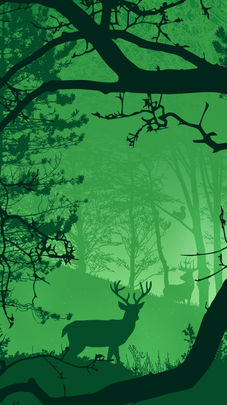 Обои зеленый, дерево, природа, ветвь, природный ландшафт в разрешении 750x1334