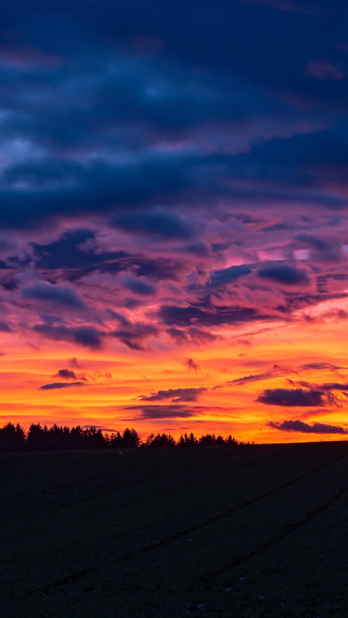Обои закат, послесвечение, облако, горизонт, восход солнца в разрешении 1440x2560