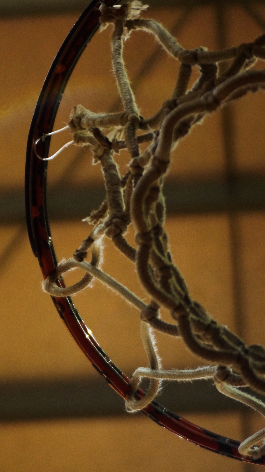 Обои Баскетбол, металл, провод, технологии, ветвь в разрешении 1080x1920