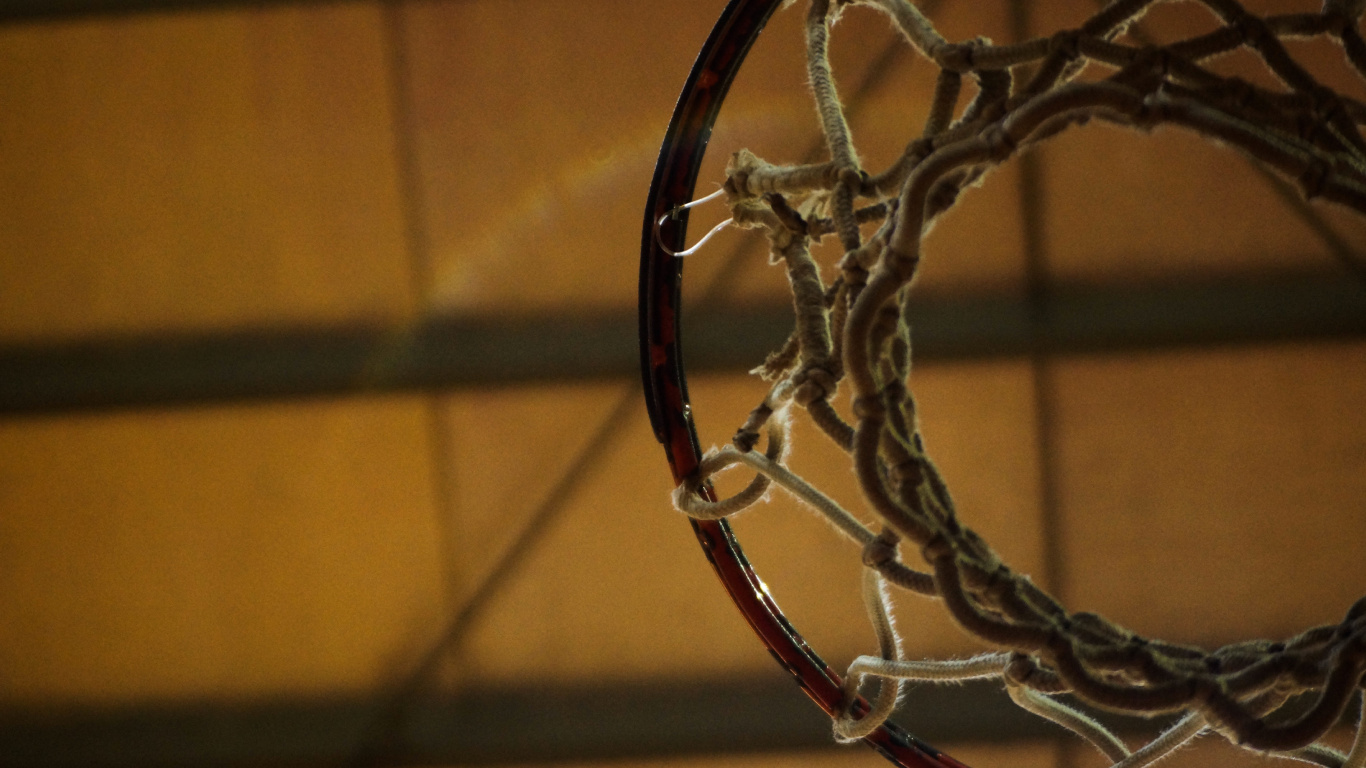 Обои Баскетбол, металл, провод, технологии, ветвь в разрешении 1366x768