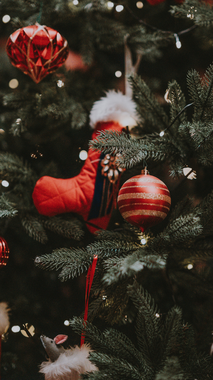 Обои Новый год, Рождество, Рождественский день, елка, рождественский орнамент в разрешении 750x1334