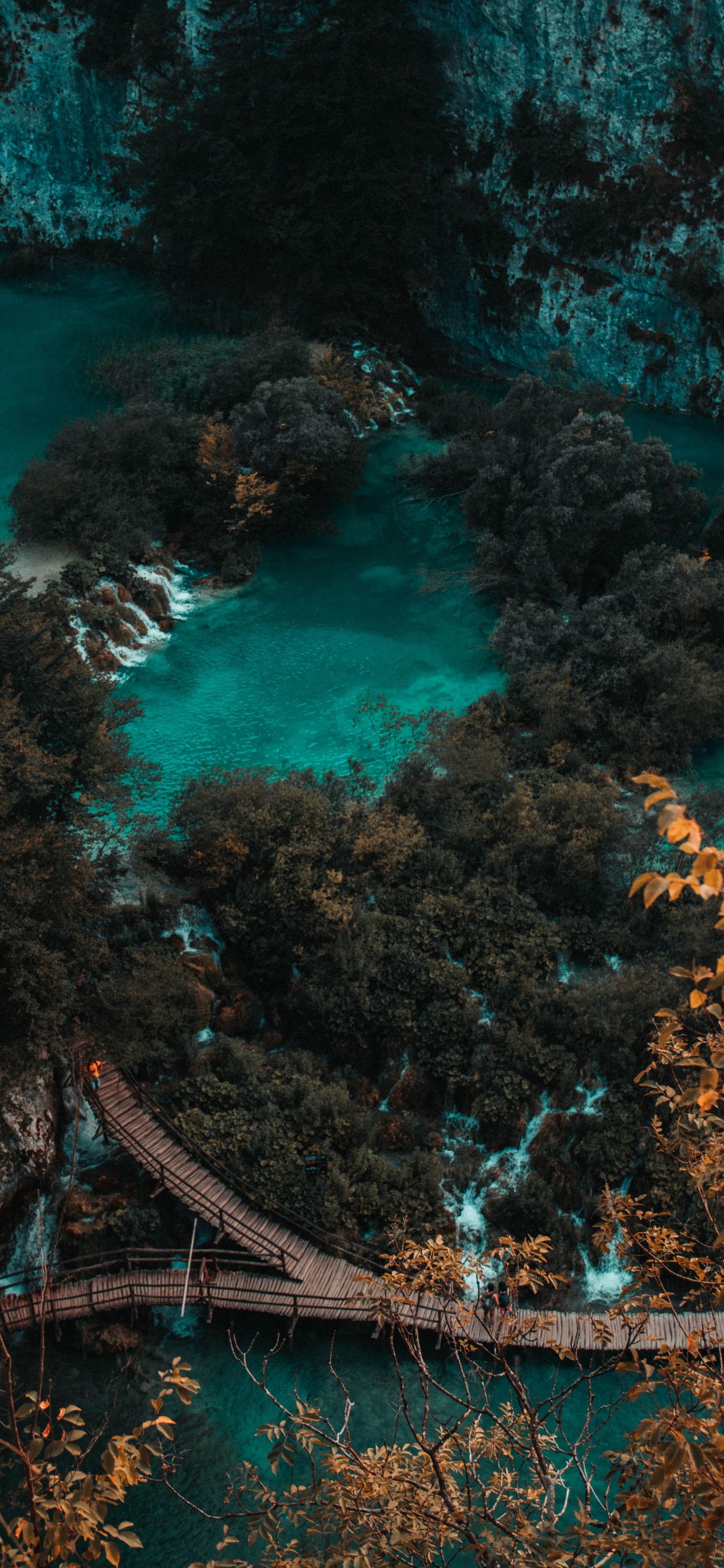 Обои вода, природа, синий, бирюза, зеленый в разрешении 1242x2688