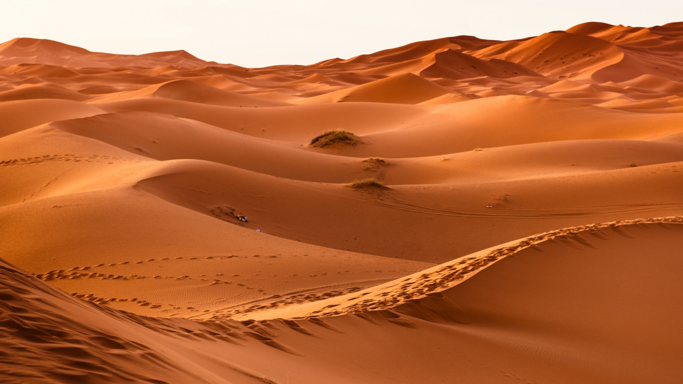 Обои пустыня, эрг, песок, эолийские рельефы, сахара в разрешении 1366x768