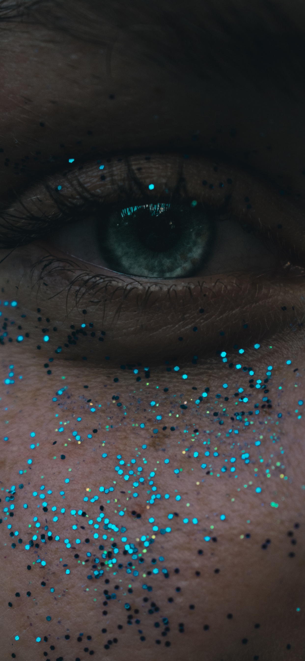 Обои крупный план, человеческий глаз, глаз, радужная оболочка, синий в разрешении 1242x2688