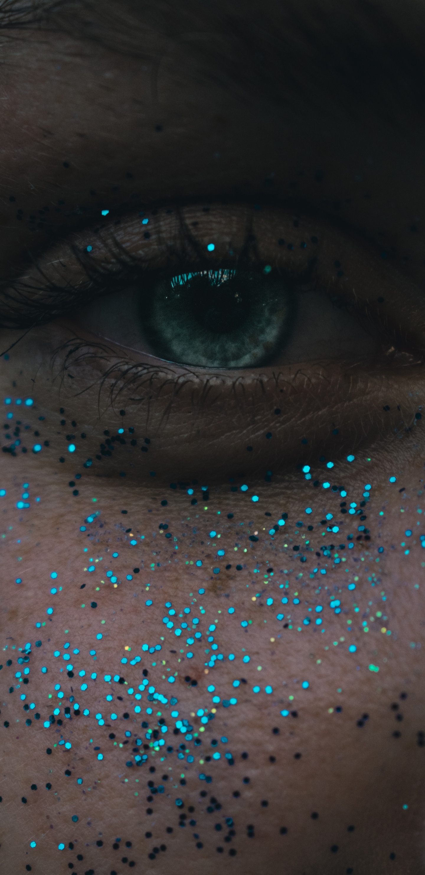Обои крупный план, человеческий глаз, глаз, радужная оболочка, синий в разрешении 1440x2960