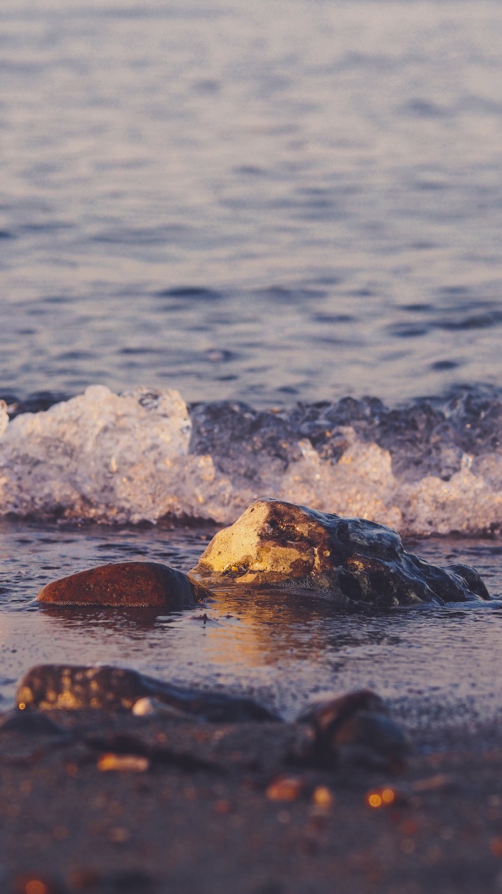 Обои пляж, море, волна, вода, океан в разрешении 720x1280