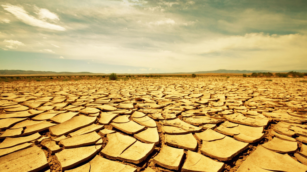 Обои засуха, почва, пейзаж, печать, сельское хозяйство в разрешении 1280x720