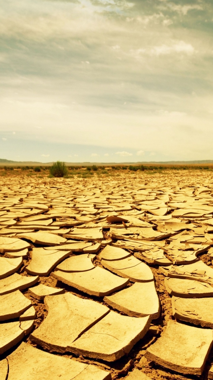Обои засуха, почва, пейзаж, печать, сельское хозяйство в разрешении 720x1280