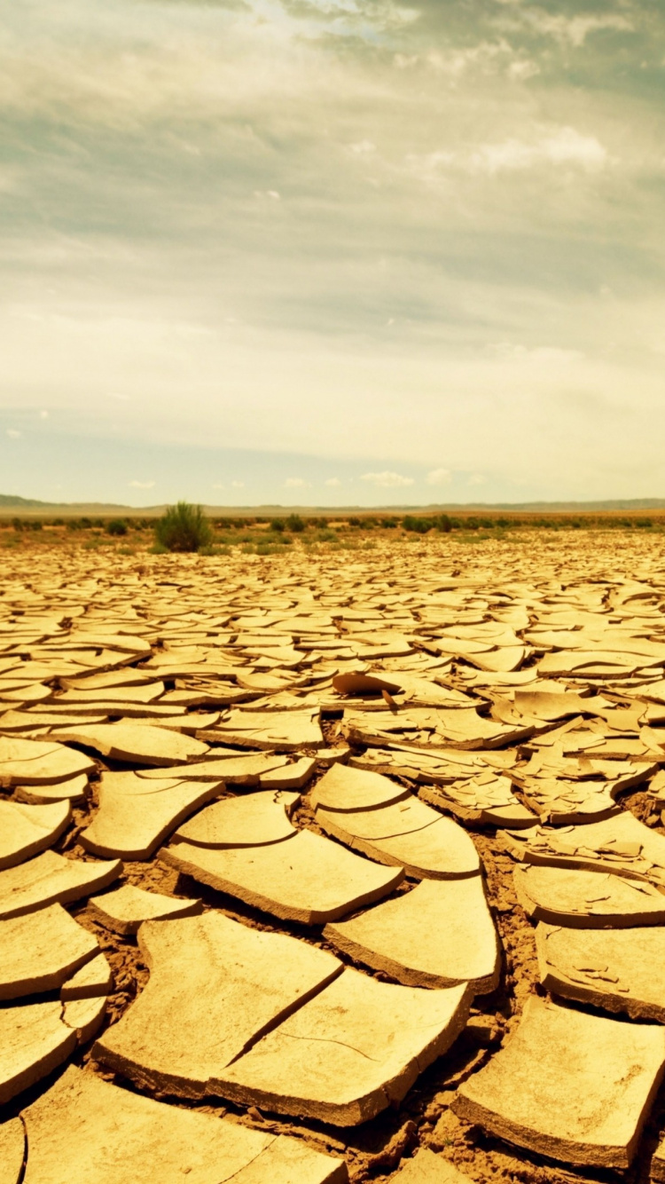 Обои засуха, почва, пейзаж, печать, сельское хозяйство в разрешении 750x1334
