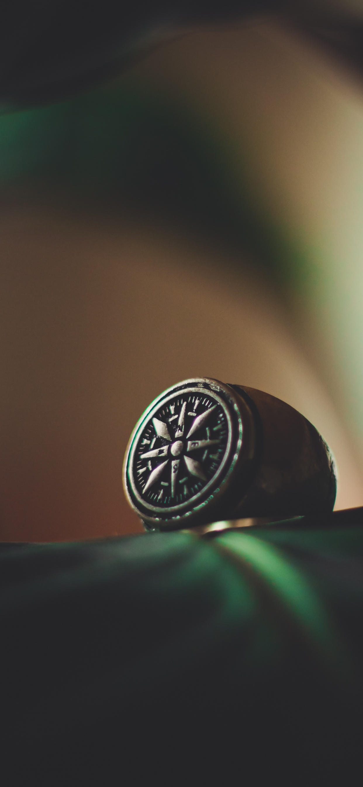 Обои кольцо, серебро, зеленый, колесо, автомобильные запчасти в разрешении 1242x2688