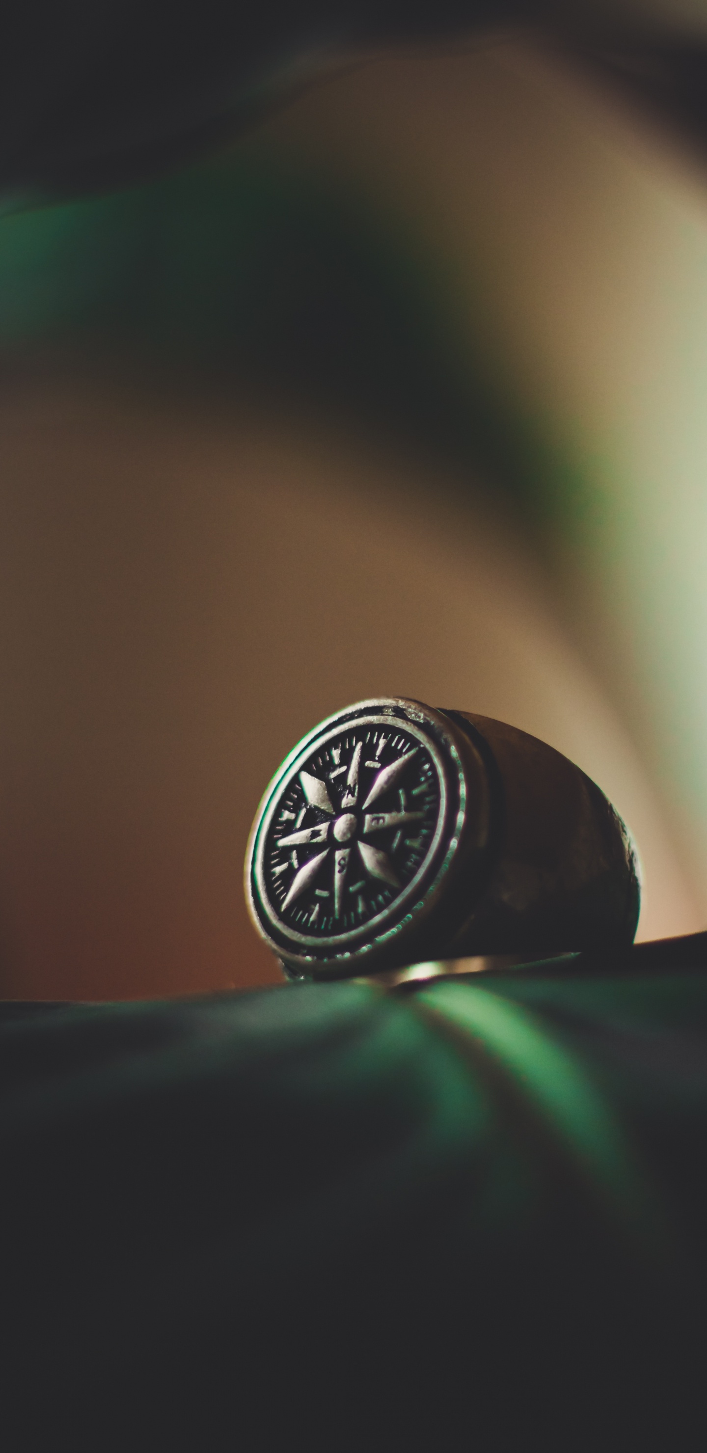 Обои кольцо, серебро, зеленый, колесо, автомобильные запчасти в разрешении 1440x2960