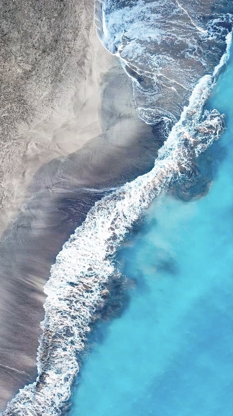 Обои дерево, вода, гидроресурсы, природный ландшафт, жидкий в разрешении 750x1334