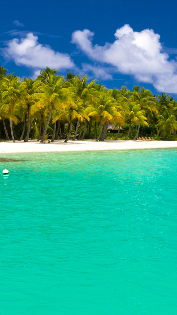 Обои лето, тропическая зона, море, прибрежные и океанические рельефы, Карибский бассейн в разрешении 750x1334