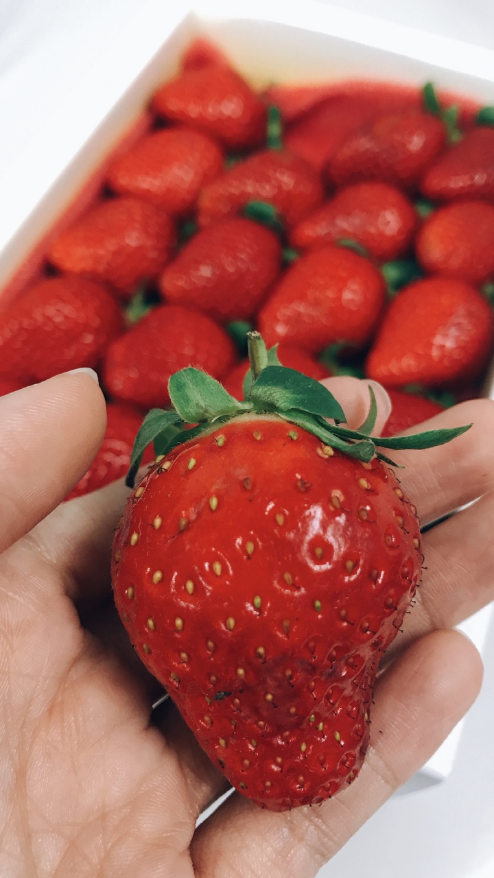 Обои клубника, фрукты, пища, природные продукты, растение в разрешении 720x1280