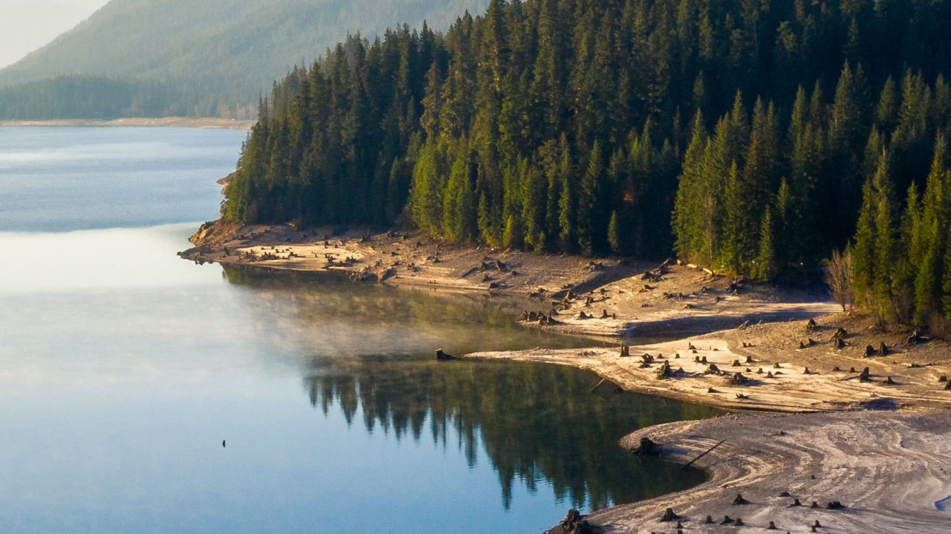 Обои Истон Ва Джон Вестрок, Истон, Сиэтл, озеро Истон, вода в разрешении 1366x768