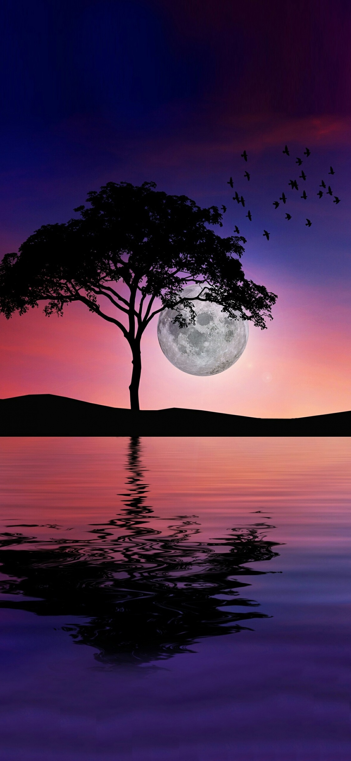 Обои вода, атмосфера, гидроресурсы, растение, послесвечение в разрешении 1125x2436