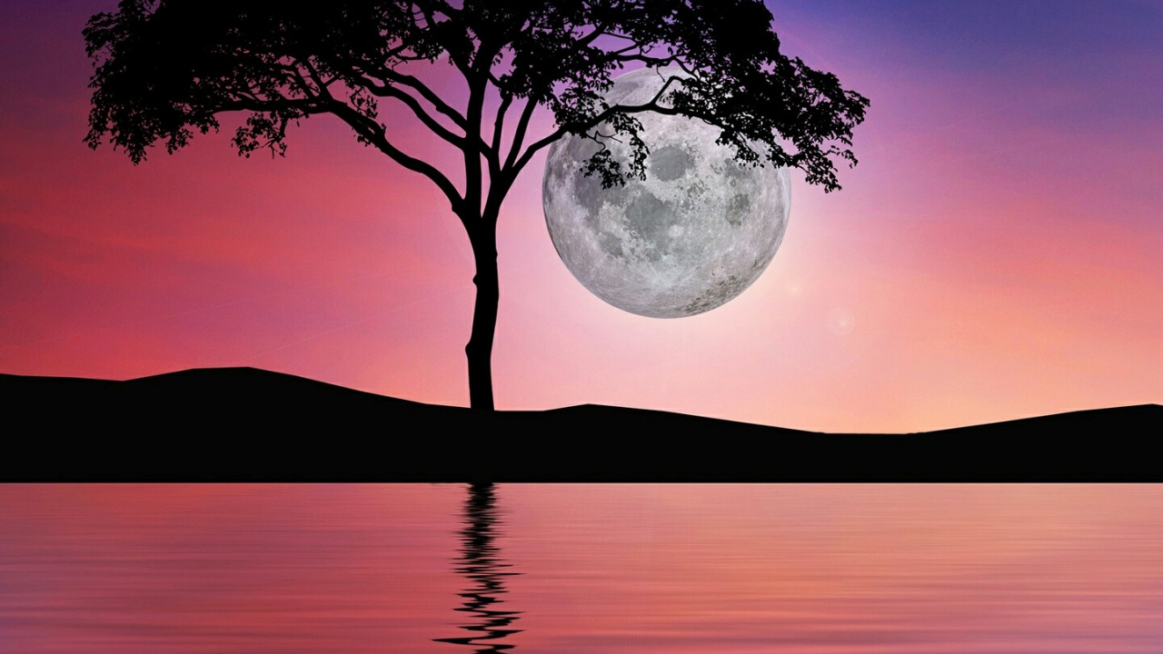 Обои вода, атмосфера, гидроресурсы, растение, послесвечение в разрешении 1280x720