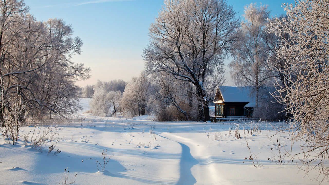 Обои зима, снег, замораживание, мороз, дерево в разрешении 1280x720