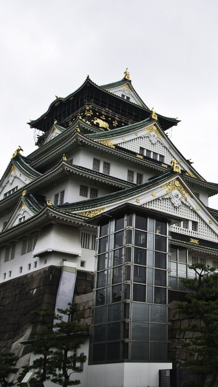 Обои замок Осака, замок, архитектура, китайская архитектура, ориентир в разрешении 750x1334