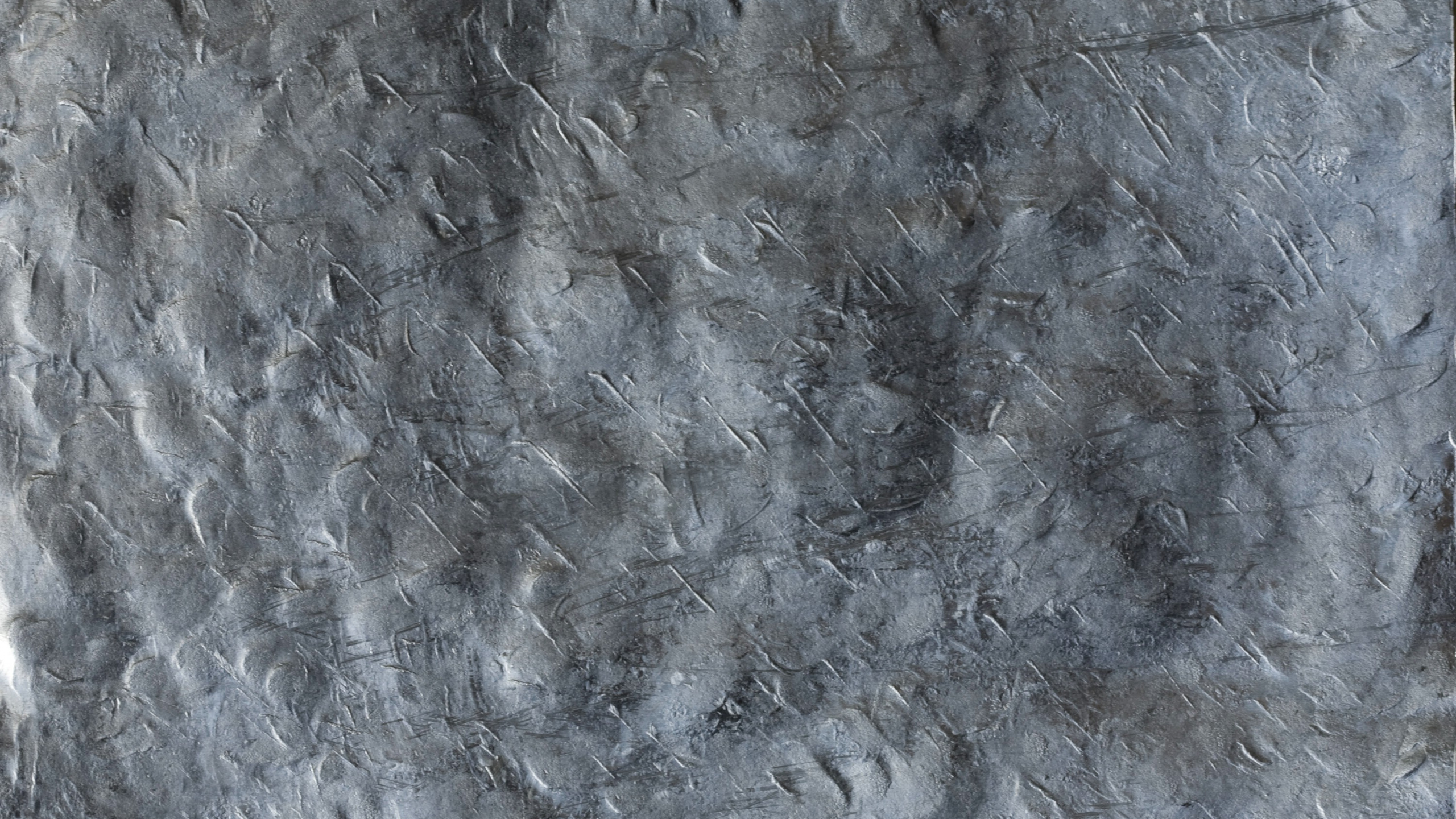 Обои мороз, монохромный, наложение текстуры, Информация, монохромный режим в разрешении 2560x1440