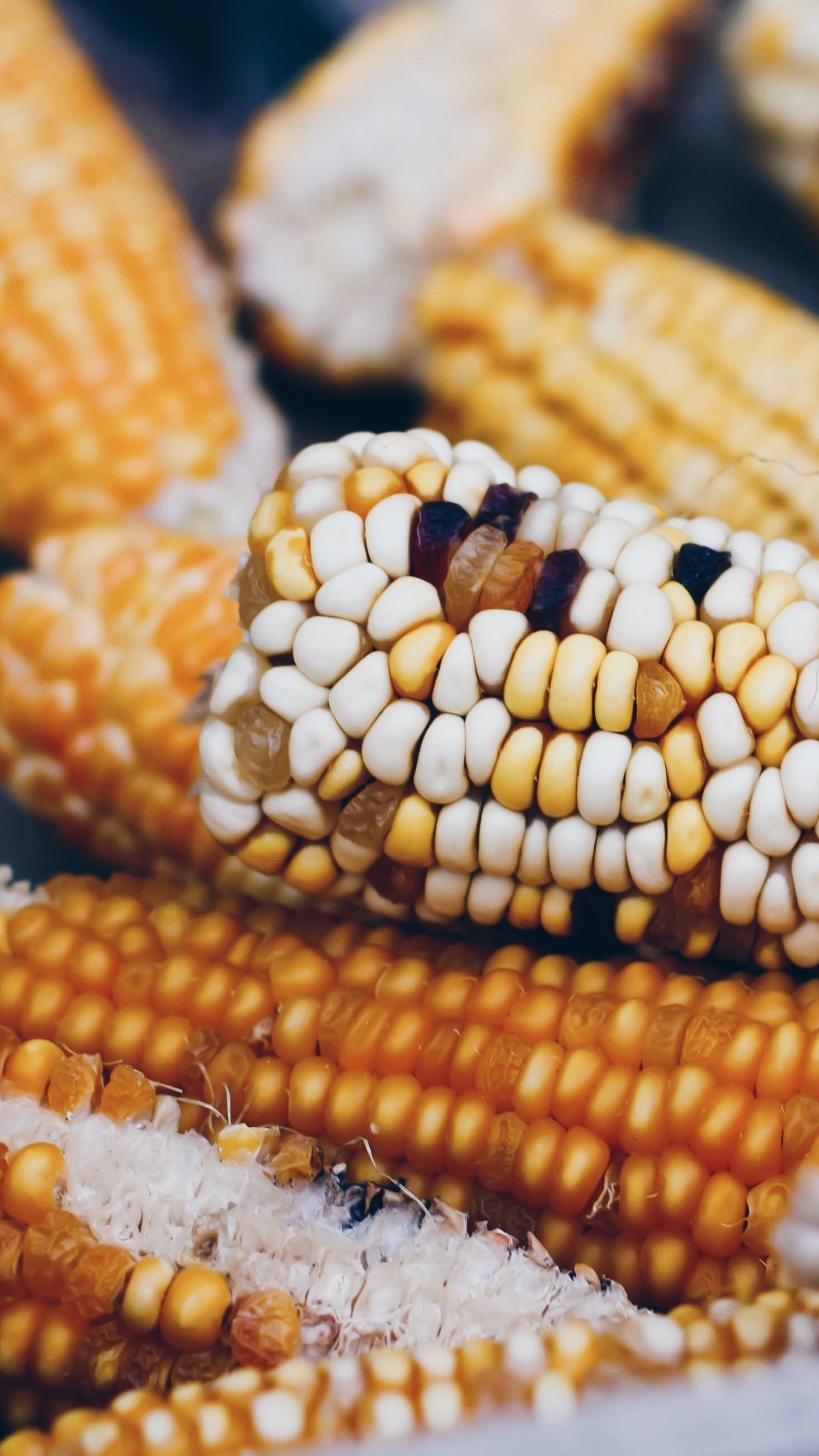 Обои кукурузные зерна, сахарная кукуруза, пища, кукуруза, вегетарианская пища в разрешении 1080x1920